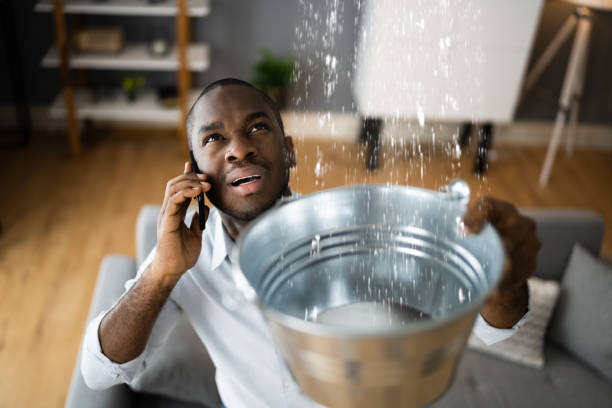 Best Carpet water damage restoration  in New Berlin, IL