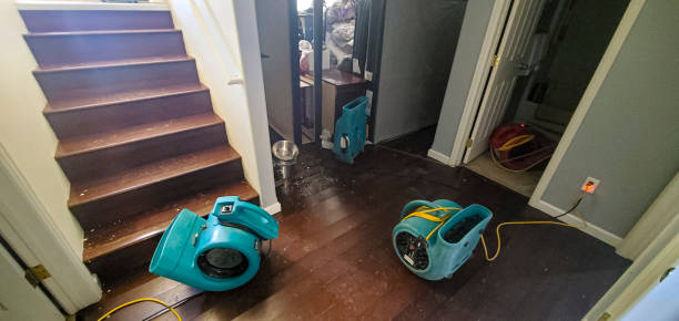 Best Flood restoration services  in New Berlin, IL