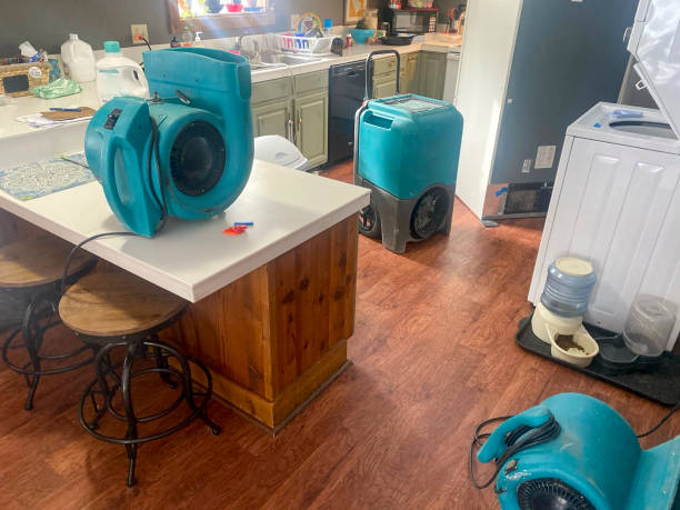  New Berlin, IL Water damage restoration Pros