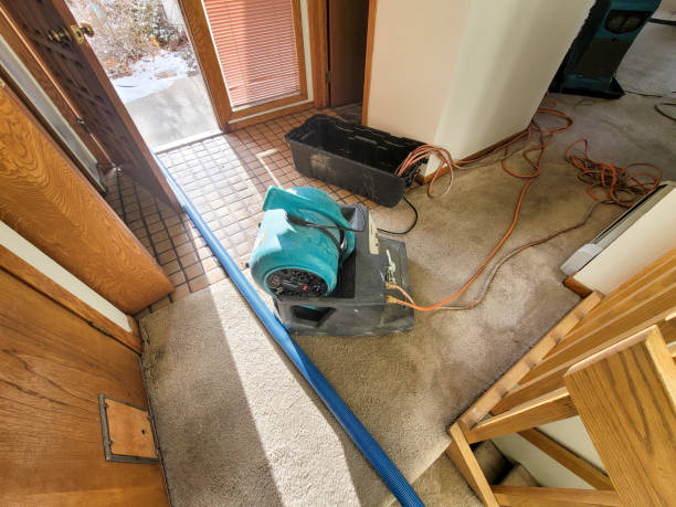 Best Water damage cleanup near me  in New Berlin, IL