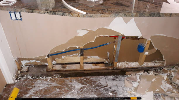 Water damage restoration mold remediation in New Berlin, IL