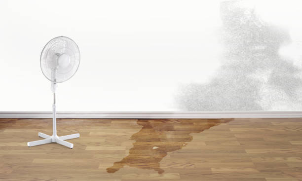 New Berlin, IL Water damage restoration Company