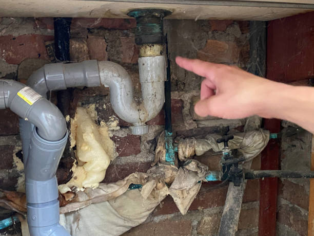 Best Emergency water extraction  in New Berlin, IL