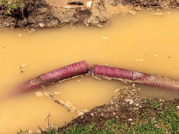 Carpet water damage restoration in New Berlin, IL
