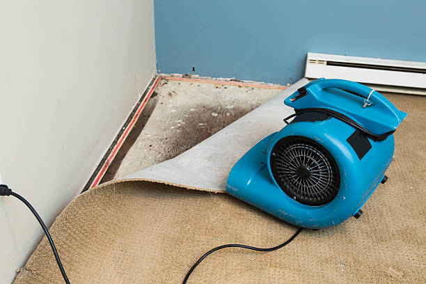 Best 24-hour water damage restoration  in New Berlin, IL
